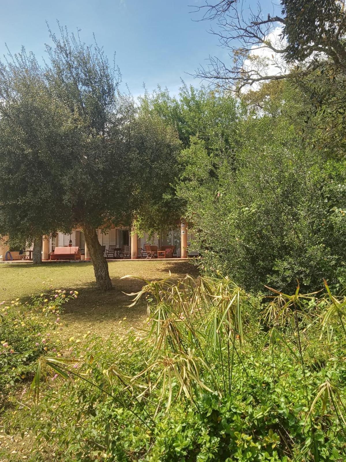 Sotogrande. Estancia Privada En Plena Naturaleza Exterior photo